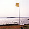 View from cottage